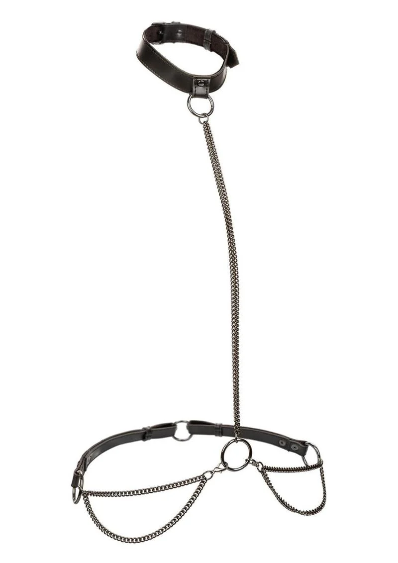 Euphoria Collection Plus Size Chain Halter Collar & Leash