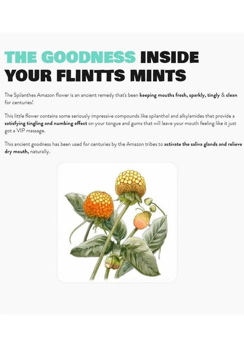 Flintts Mouth Watering Mints Luxury Grape Oral Delights - Image 2