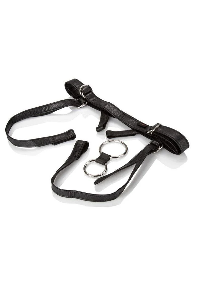 Her Royal Harness The Duchess Adjustable Harness Fits Up to 64in