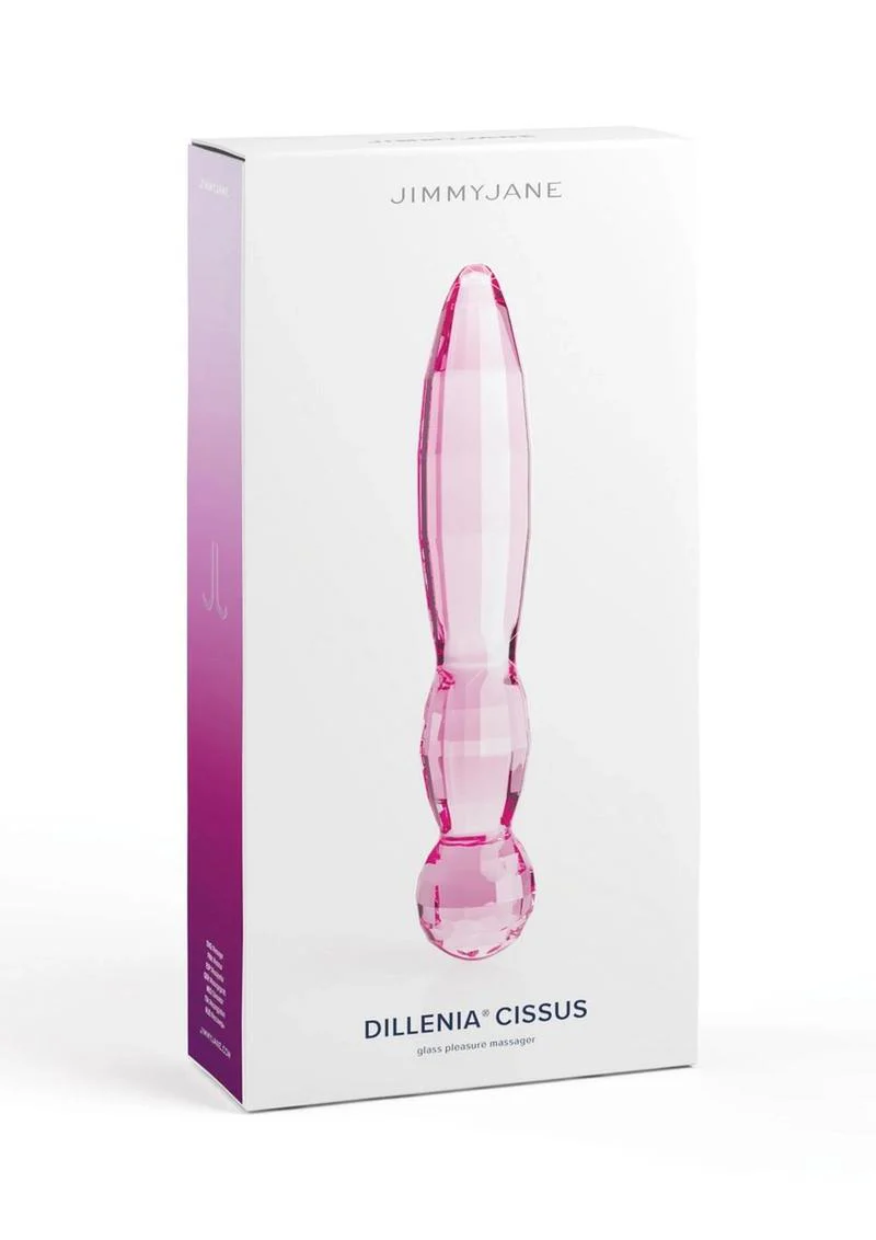 Jimmyjane Dillenia Cissus Glass And Smooth Surface Wand - Image 4