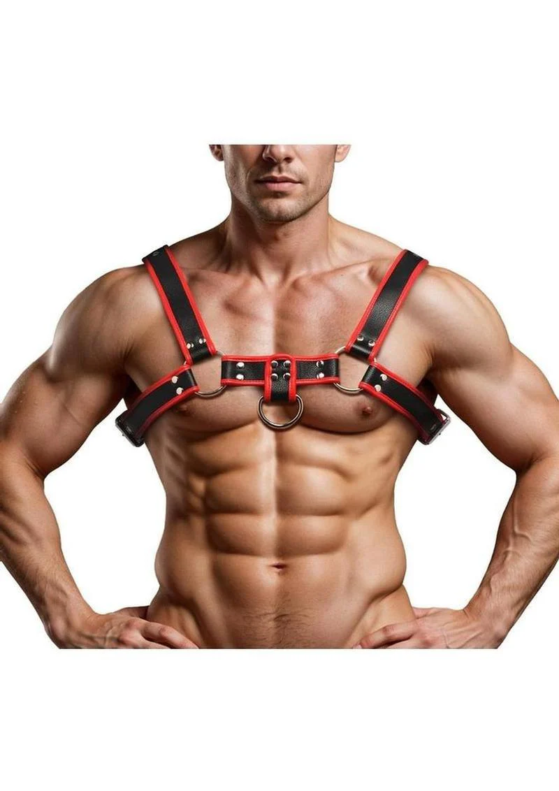 Master Series Bulldog Harness Blue Leather - Image 4