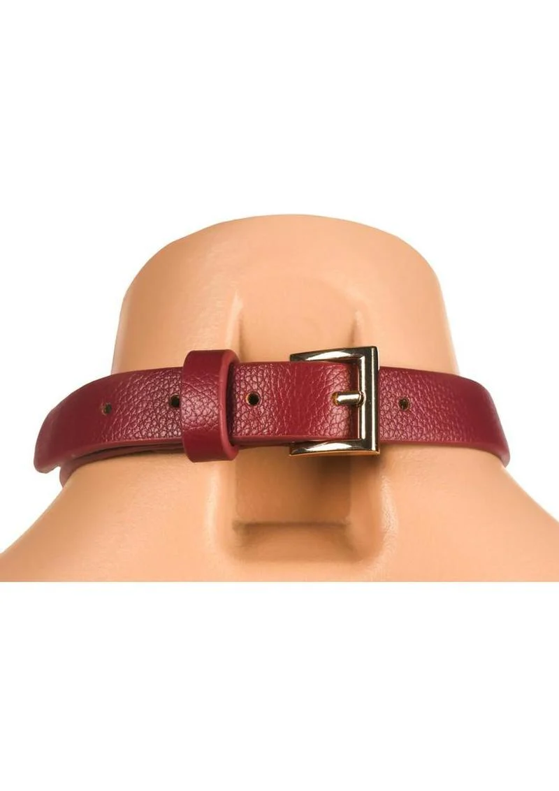 Master Series Captivate Collar - Image 6