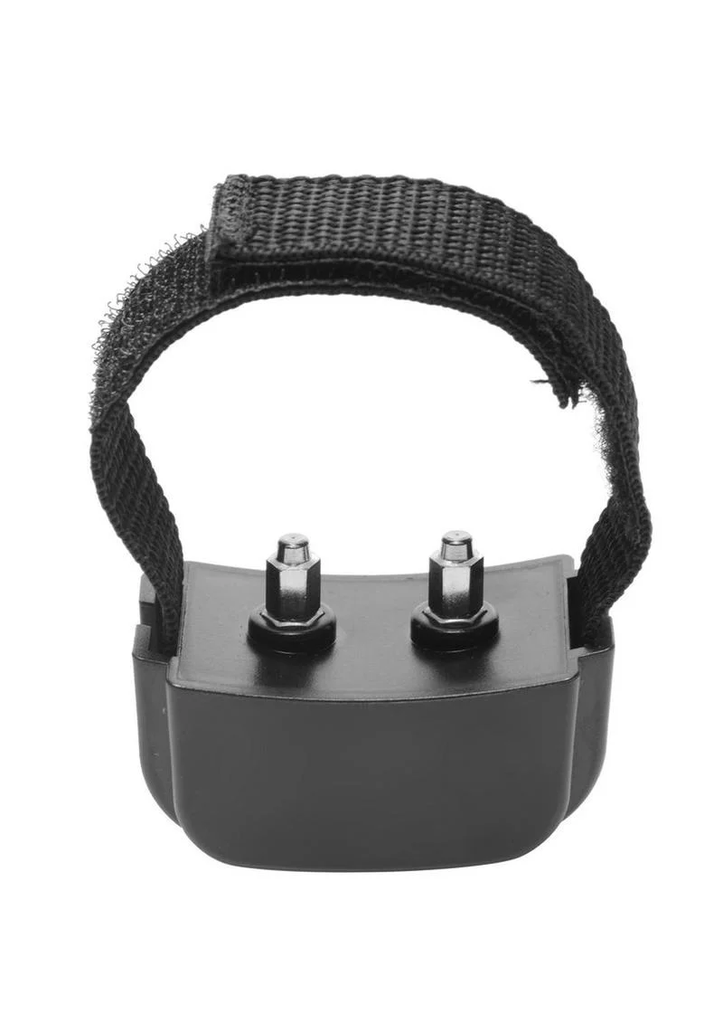 Master Series Cock Shock CBT Electric Cock Ring with Remote Control - Image 2