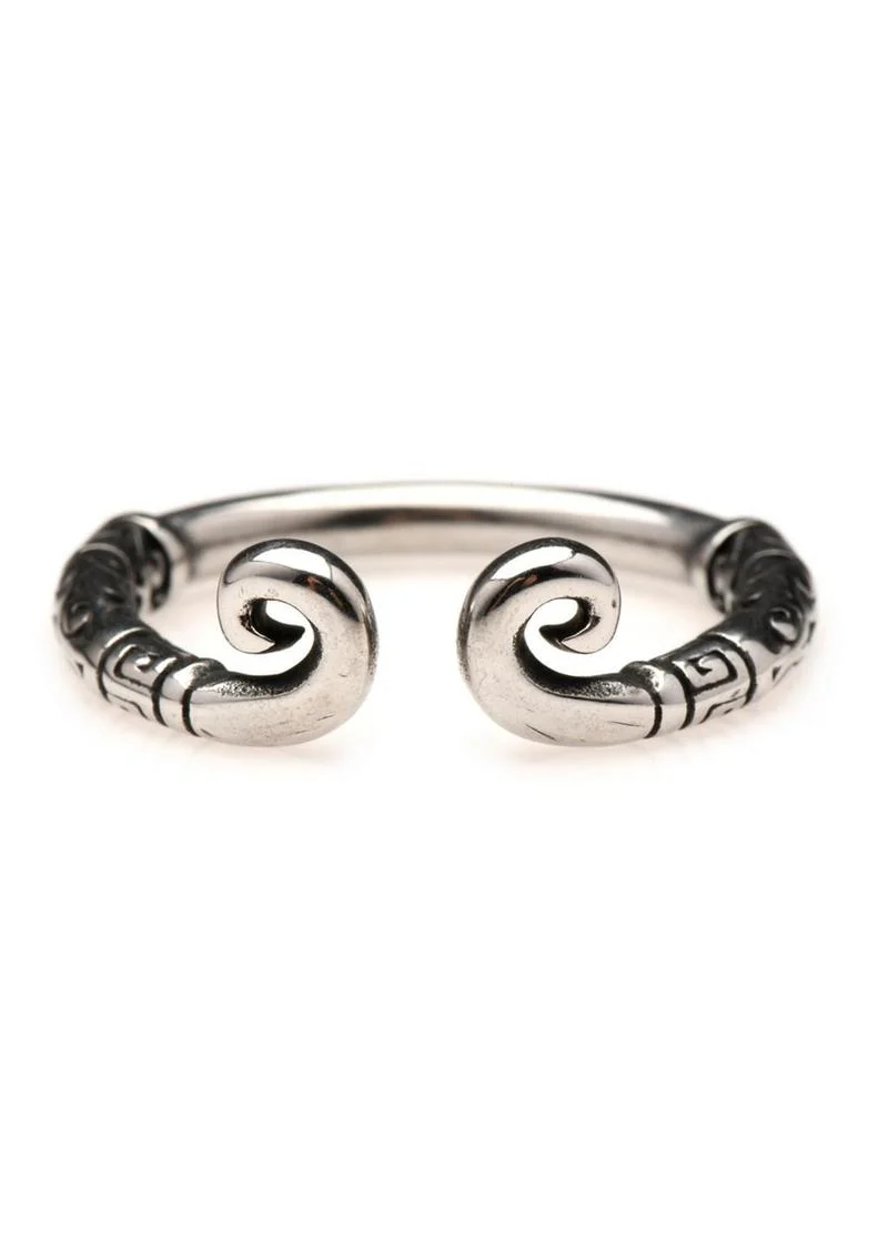 Master Series Kingpin Stainless Steel Glans Ring - Image 4