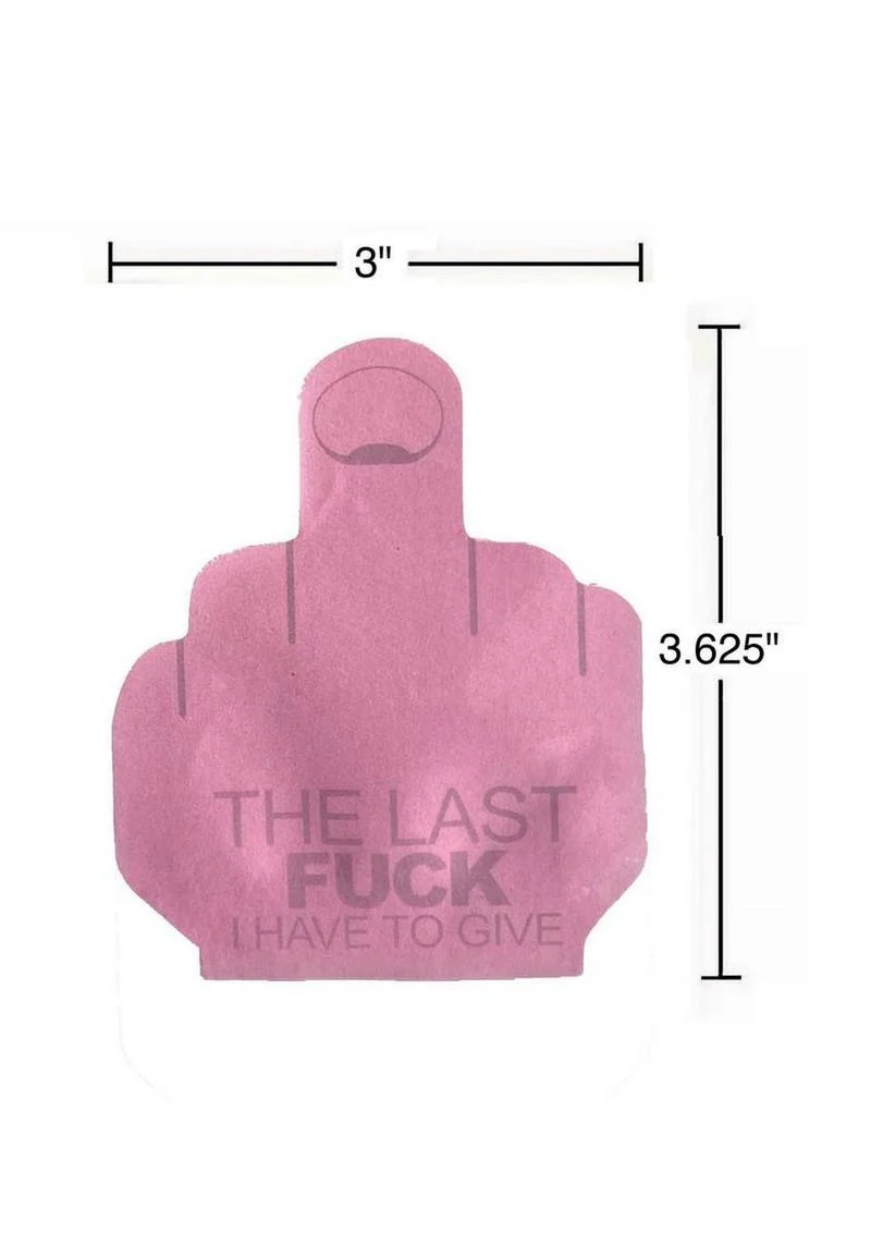 Pad of Fcks Sticky Notes Funny “Last Fck I Have to Give” Notepad