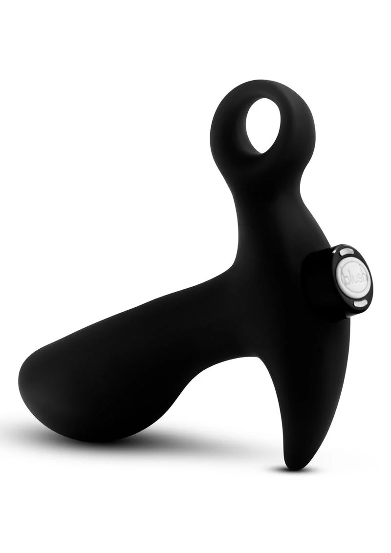 Platinum Vibrating Prostate Massager By Anal Adventures - Image 2