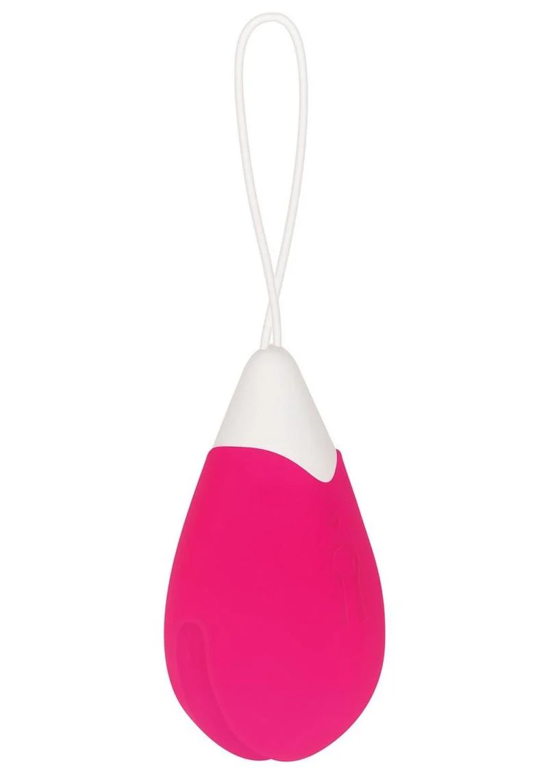 Remote Control Rechargeable Silicone Egg Vibrators - Image 2