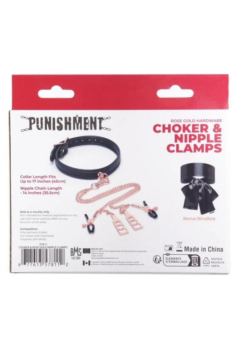 Rose Gold Hardware Choker and Nipple Clamps - Image 2