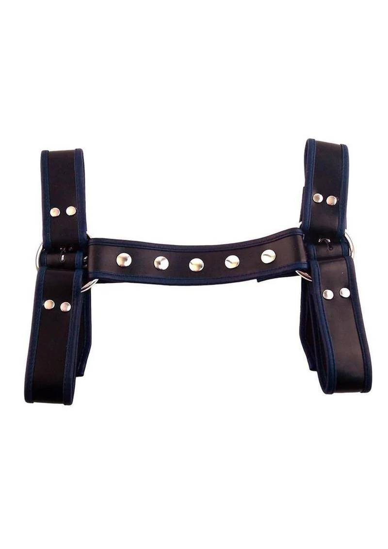 Rouge Leather Halter Harness Trim And Adjustable Buckles - Image 3
