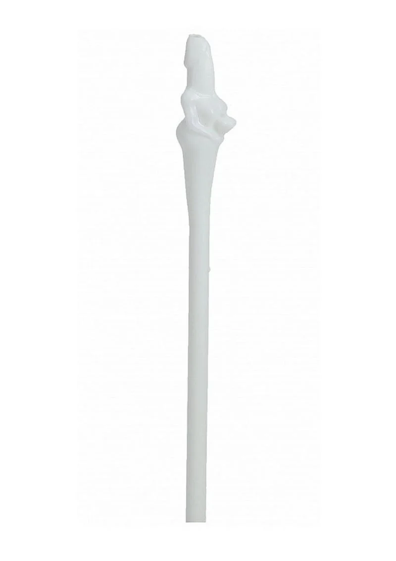 S-Line The Dickheads Bride Straws Set