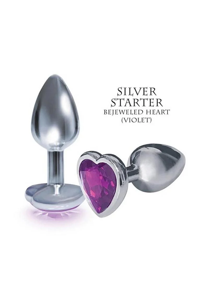 The Silver Starter Anodized Stainless Steel Butt Plug - Image 6